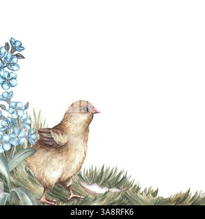 Easter card. A hatched chicken on the grass surrounded by forget-me-nots. Handmade watercolor illustration. A color image of an Easter frame in vintag Stock Photo
