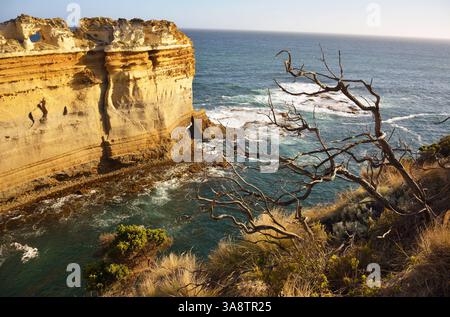the razorback along the great ocean road (australia Stock Photo - Alamy