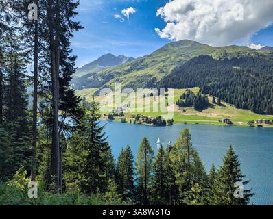 Aerial view of a colorful playground nestled among lush green trees in ...
