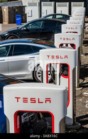 London, UK. 29th Mar, 2025. Tesla fast charging points at the showroom - - Say no to Elon Musk, say no to Nazis protest at a London Tesla Showroom near Park Royal. Part of the #TeslaTakeDown Global Day of Action. Credit: Guy Bell/Alamy Live News Stock Photo