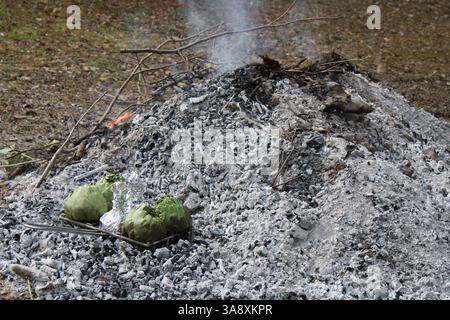 Artichokes being cooked on a rack on an outdoor fire Stock Photo