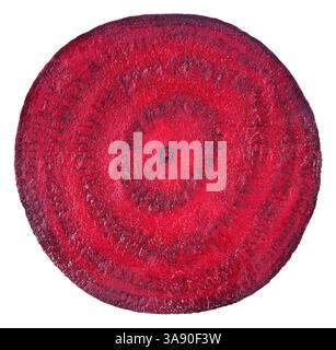 Cross section of beet vegetable isolated on white background Stock Photo