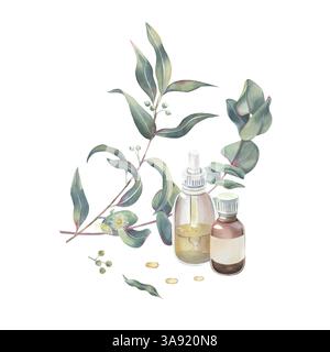 Eucalyptus branches with leaves, shoots and buds, glass bottles of essential oil, drops, watercolor isolated on white. Botanical illustration of medic Stock Photo