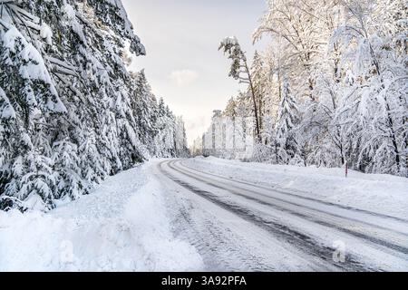 A snow covered road with a line of trees on either side. The road is covered in snow and has a line of tire tracks Stock Photo