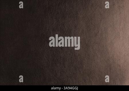 Glossy structure of genuine leather with gradient lighting effect, natural skin surface with embossing pattern. Artifical brown colored leatharette ma Stock Photo