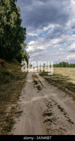 Rural dirt road through countryside landscape with trees, grassy fields and dramatic cloudy sky Stock Photo