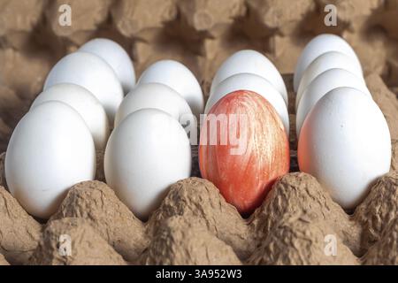 An unusual red egg stands out among a collection of white eggs neatly placed in a carton. Stock Photo