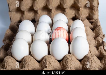 A conceptual image showing a single red egg standing out among white eggs in a carton. Closeup Stock Photo
