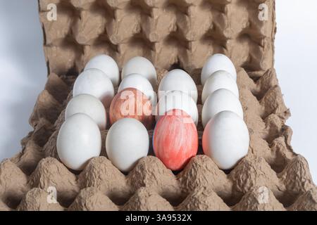 A colorful egg surrounded by white eggs in a cardboard box. For Easter. Stock Photo