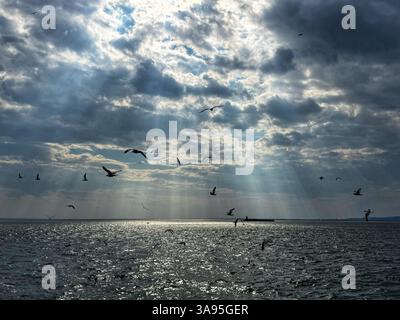 Birds flying over water with sunlight streaming through clouds Stock Photo