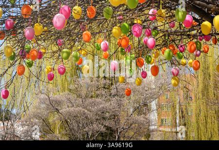 Decorative Easter eggs hanging from tree branches in horizontal format Stock Photo