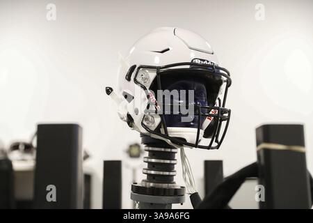 riddell speedflex precision helmet NFL/Unbranded (2025) BRAIN INJURY which no helmet can prevent Riddell Speedflex Precision Fit Riddell