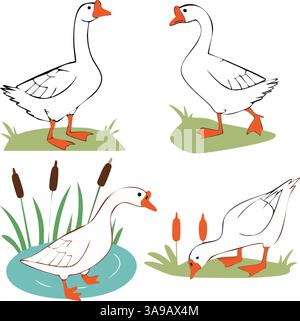 A collection of four cartoon-style illustrations of geese. The first shows a standing goose, the second a goose honking, the third a goose near a pond Stock Vector