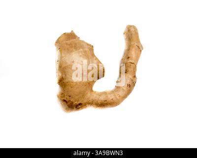 Ginger isolated on a white background. Stock Photo