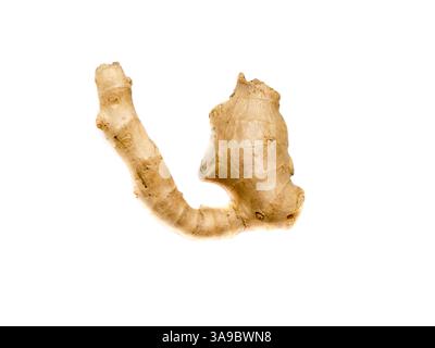 Ginger isolated on a white background. Stock Photo