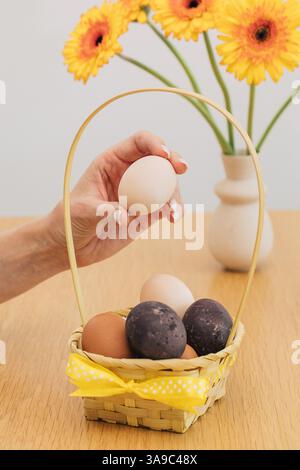 A woman holds an Easter egg over a wicker basket. Happy Easter. Stock Photo