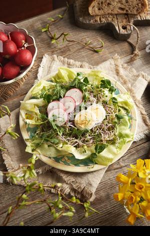 Fresh vegetable salad with radish sprouts and green pea shoots in springtime Stock Photo