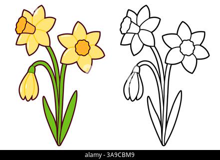 Daffodil flowers bouquet, cute simple springtime drawing. Black and while line art and color image. Cartoon vector illustration. Stock Vector