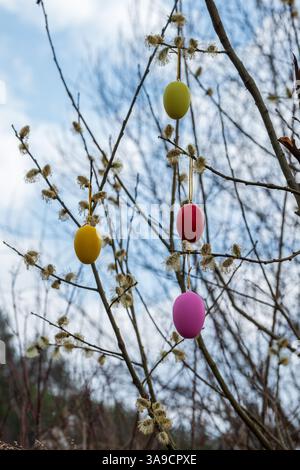 Easter Eggs on Branches of a Blossoming Willow Tree, further view Stock Photo