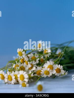 easter decorations and flowers Stock Photo