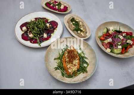 Assorted Gourmet Vegetarian Dishes on Rustic Plates Stock Photo