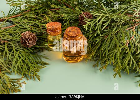 Two glass bottles with a cork cap with natural coniferous oil among the green branches of thuja. The concept of natural, organic care at home Stock Photo