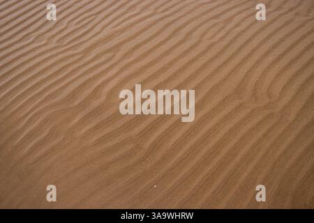Seamless wet sand with sea water on a whole background. Empty wavy sandy sea bottom. Exotic Sandy Ocean beach surface. Top view. Simple, minimalistic Stock Photo