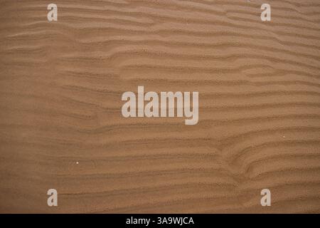 Seamless wet sand with sea water on a whole background. Empty wavy sandy sea bottom. Exotic Sandy Ocean beach surface. Top view. Simple, minimalistic Stock Photo