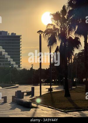 The sun sets over a modern cityscape, casting long shadows from palm trees and streetlights. The warm golden glow creates a peaceful, tropical atmosph Stock Photo