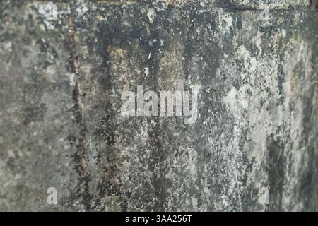 A damp concrete wall covered in wide patches of black mold, with cracks indicating a lack of maintenance and repair. The wall, which was once white, h Stock Photo