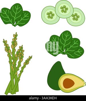 Spinach leaves, cut cucumber, asparagus. avocado composition set. Vector flat illustration of green vegetables on transparent background. For logo, we Stock Vector