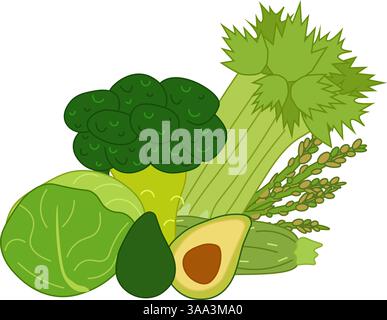 Green veggies composition broccoli, avocado, cabbage, zucchini, illustration with vegetables isolated on white background. Vector flat food set for yo Stock Vector