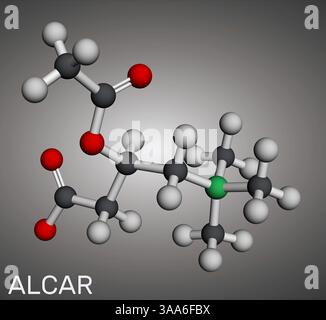 acetyl l carnitine molecule Acetyl-L-carnitine, ALC, ALCAR molecule. Dietary supplement  acetylcarnitine. Molecular model. 3D rendering. Illustration Stock Photo
