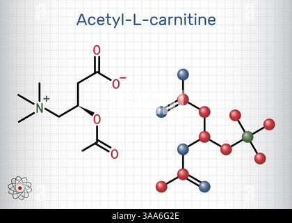 acetyl l carnitine molecular weight Acetyl-L-Carnitine