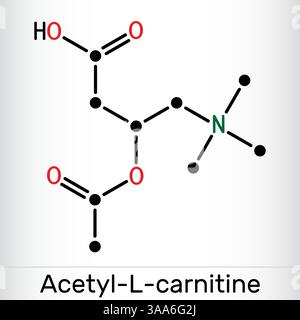 acetyl l carnitine structure Carnitine and acetyl - L - carnitine