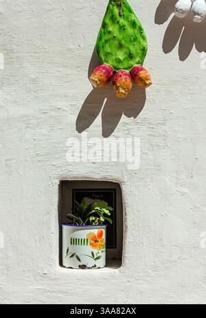 a prickly pear in Apulian ceramic decorates a white wall Stock Photo