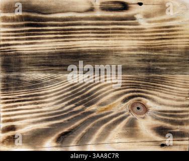 Pine board with a well-defined structure and texture of wood. Stock Photo
