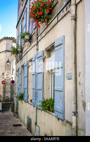 A building in Cognac France with blue shutters and red flowers in pots. The shutters are open. There is a red sign on the left side of the building Stock Photo