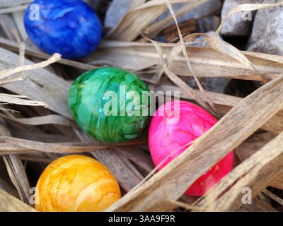Four colorful easter eggs are lying between dry bamboo leaves Stock Photo