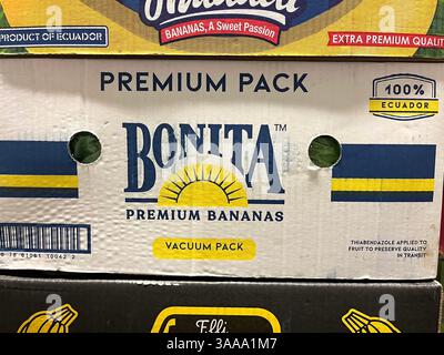 Bonita Premium bananas, banana boxes, cardboard banana boxes, banana shipping boxes, packing boxes bananas, bulk banana boxes, wholesale banana boxes Stock Photo