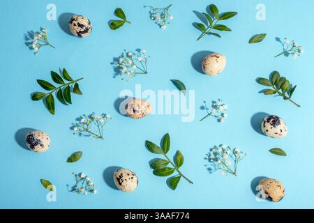 Quail eggs, green leaves and small white flowers on blue background with shadows. Easter concept. Top view, flat lay. Stock Photo