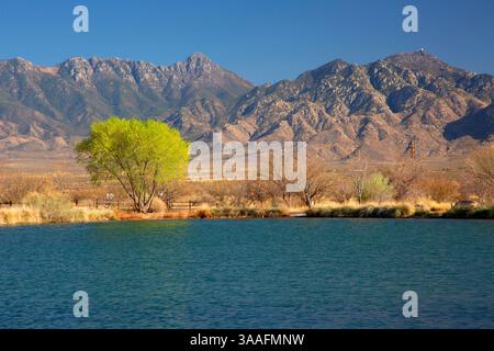 Ranch pond, Raúl M. Grijalva Canoa Ranch Conservation Park, Arizona ...