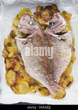 Whole backed red snapper fish with roasted potatoes, just from the oven, ready to eat Stock Photo