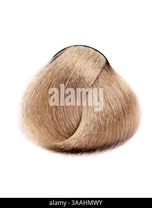 A strand of hair isolated on white background Stock Photo