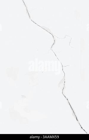 Bleached wall with cracks and delicate structure, the vector Stock Vector