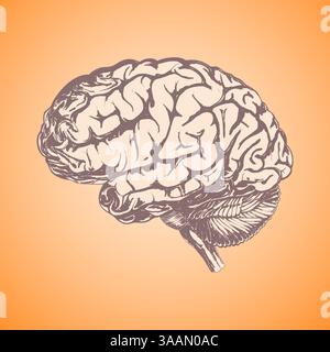 Human brain hand-drawn in brown tones as a blank for your design ideas Stock Vector