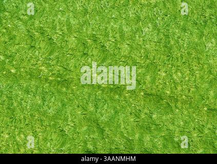 Green textured stone surface forming an abstract background Stock Photo