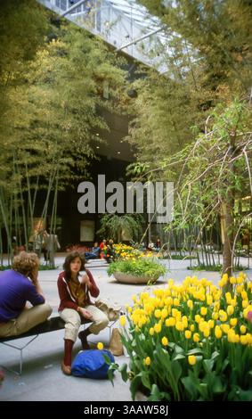 杉本博司　time exposed IBM COURTYARD TOKYO 杉本博司 time exposed IBM COURTYARD TOKYO IBM COURTYARD