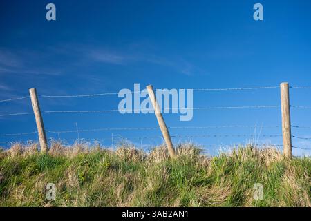 Barbed wire fence with blue sky Stock Photo