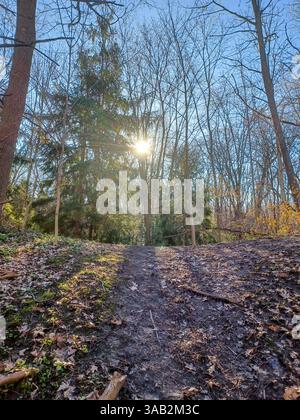 Toronto, ON, Canada – April 16, 2024: A narrow dirt trail winds uphill through a leafless forest under clear spring skies. Stock Photo